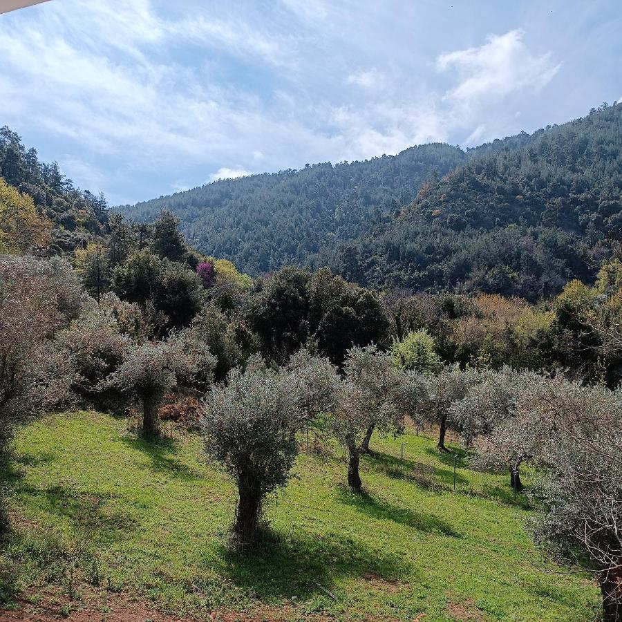 Evergreen Thassos Szkála Potamiász Kültér fotó